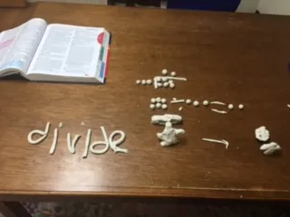 Davis Math Mastery program